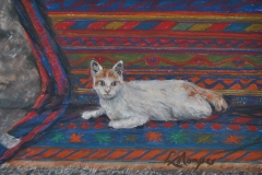 Isrtanbul Street Cat