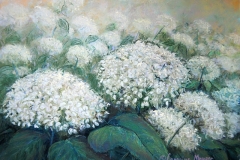 Hydrangea Drifts, Annabelle