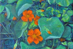 Nasturtium Cluster