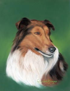 Collie for website small version