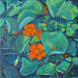 Nasturtium Cluster for website